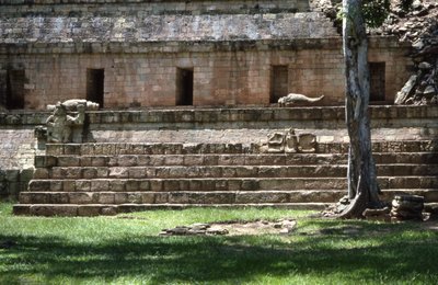 Copan West Court, Late Classic Period 600-900 AD by Mayan